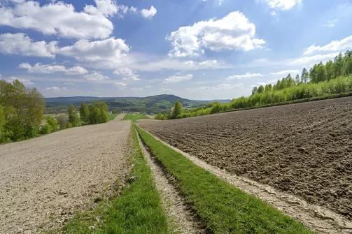 Włochy - najwyższy szczyt Pasma Cisowskiego w Górach Świętokrzyskich
