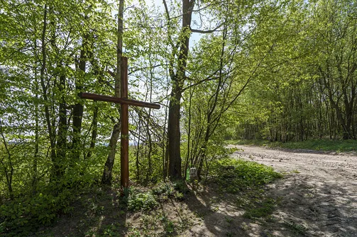 Włochy - najwyższy szczyt Pasma Cisowskiego w Górach Świętokrzyskich