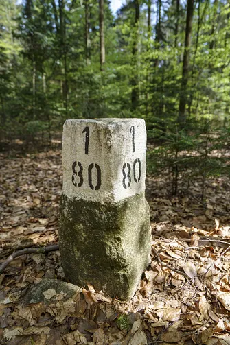 Włochy - najwyższy szczyt Pasma Cisowskiego w Górach Świętokrzyskich