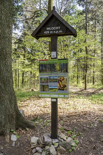 Włochy - najwyższy szczyt Pasma Cisowskiego w Górach Świętokrzyskich