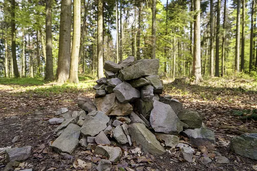 Włochy - najwyższy szczyt Pasma Cisowskiego w Górach Świętokrzyskich