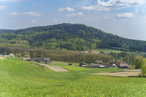 Włochy - najwyższy szczyt Pasma Cisowskiego w Górach Świętokrzyskich