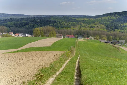 Włochy - najwyższy szczyt Pasma Cisowskiego w Górach Świętokrzyskich