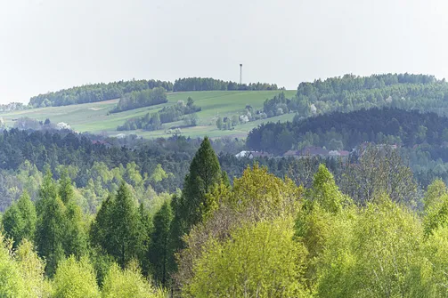 Włochy - najwyższy szczyt Pasma Cisowskiego w Górach Świętokrzyskich