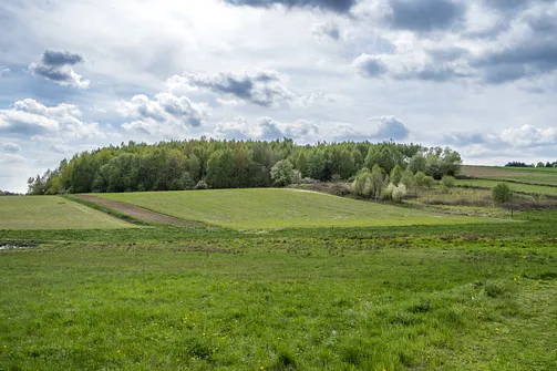 Jaźwina - szczyt Korony Gór Świętokrzyskich w Paśmie Ociesęckim