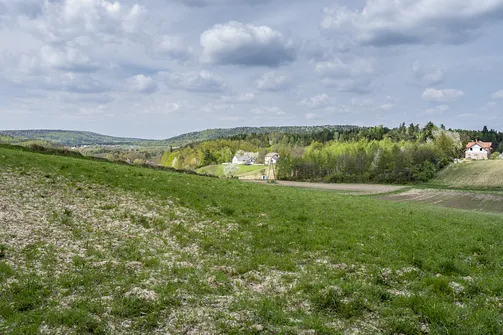 Jaźwina - szczyt Korony Gór Świętokrzyskich w Paśmie Ociesęckim
