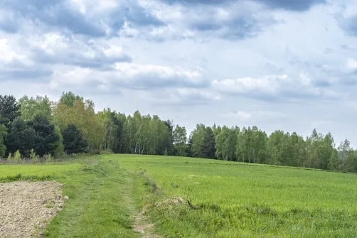 Jaźwina - szczyt Korony Gór Świętokrzyskich w Paśmie Ociesęckim