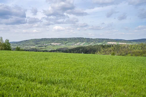 Jaźwina - szczyt Korony Gór Świętokrzyskich w Paśmie Ociesęckim