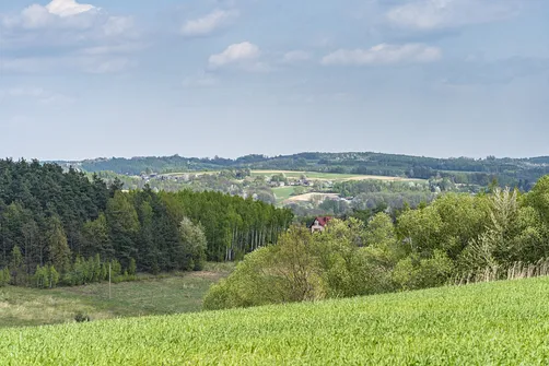 Jaźwina - szczyt Korony Gór Świętokrzyskich w Paśmie Ociesęckim