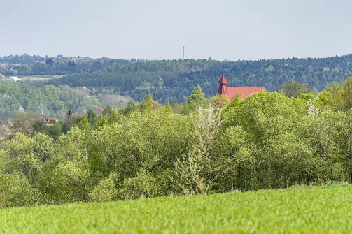 Jaźwina - szczyt Korony Gór Świętokrzyskich w Paśmie Ociesęckim
