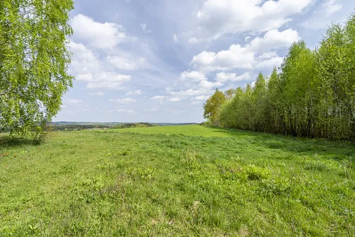 Jaźwina - szczyt Korony Gór Świętokrzyskich w Paśmie Ociesęckim