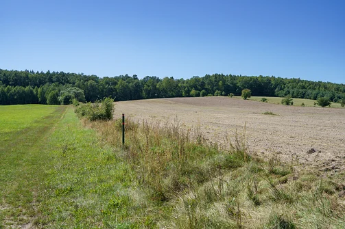 Widok na Glinianki, czyli najwyższy szczyt pasma Grzyw Korzeczkowskich