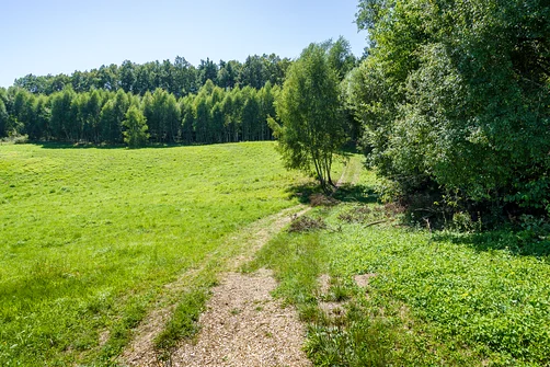 Glinianki - wzniesienie Grzyw Korzeczkowskich w Górach Świętokrzyskich