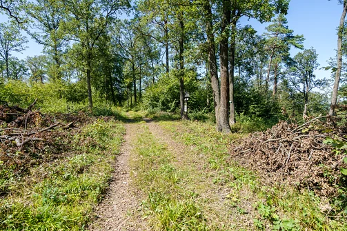 Na szczycie Glinianki w Górach Świetokrzyskich