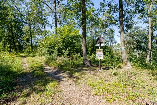 Tablica informacyjna na szczycie wzniesienia Glinianki w paśmie Grzyw Korzeczkowskich