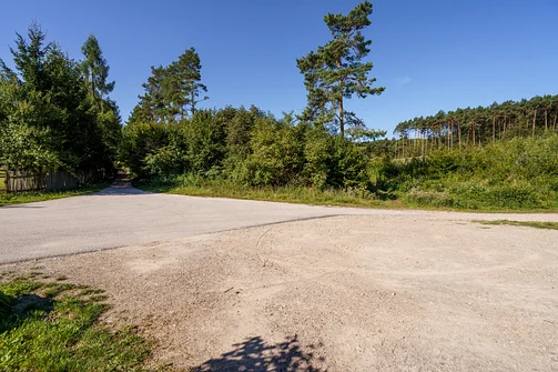 Zelejowa - najwyższy szczyt Pasma Zelejowskiego w Górach Świętokrzyskich