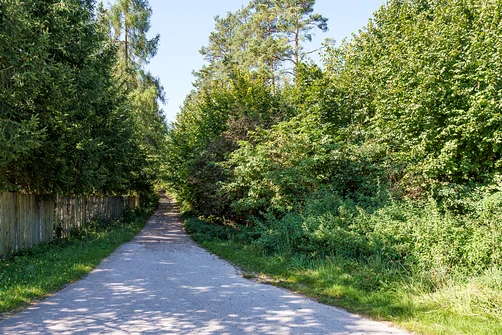 Zelejowa - najwyższy szczyt Pasma Zelejowskiego w Górach Świętokrzyskich