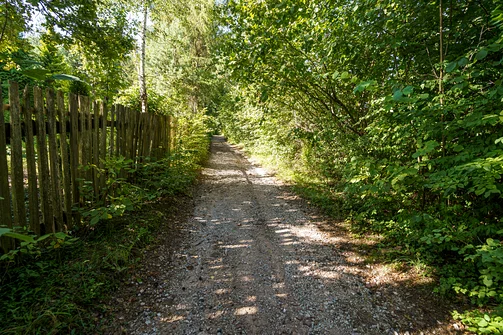 Zelejowa - najwyższy szczyt Pasma Zelejowskiego w Górach Świętokrzyskich