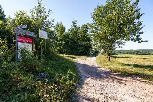 Zelejowa - najwyższy szczyt Pasma Zelejowskiego w Górach Świętokrzyskich