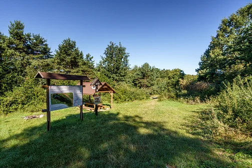 Zelejowa - najwyższy szczyt Pasma Zelejowskiego w Górach Świętokrzyskich