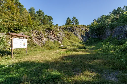 Zelejowa - najwyższy szczyt Pasma Zelejowskiego w Górach Świętokrzyskich