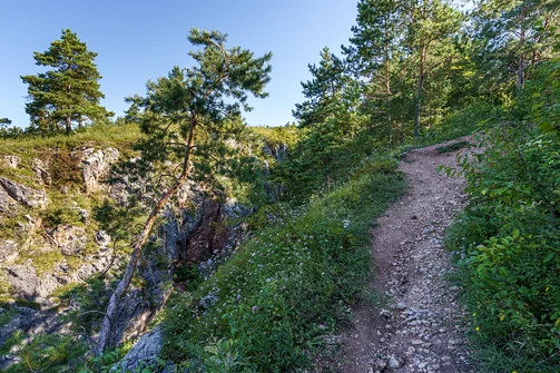Zelejowa - najwyższy szczyt Pasma Zelejowskiego w Górach Świętokrzyskich
