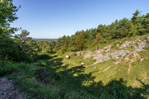 Zelejowa - najwyższy szczyt Pasma Zelejowskiego w Górach Świętokrzyskich