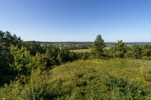Zelejowa - najwyższy szczyt Pasma Zelejowskiego w Górach Świętokrzyskich