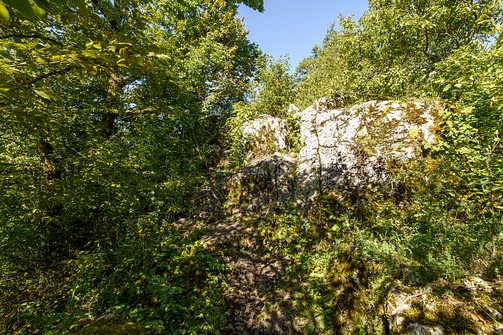 Zelejowa - najwyższy szczyt Pasma Zelejowskiego w Górach Świętokrzyskich