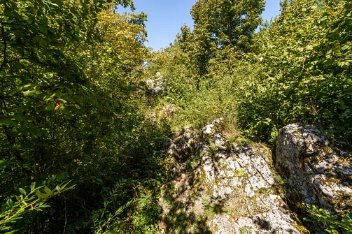 Zelejowa - najwyższy szczyt Pasma Zelejowskiego w Górach Świętokrzyskich