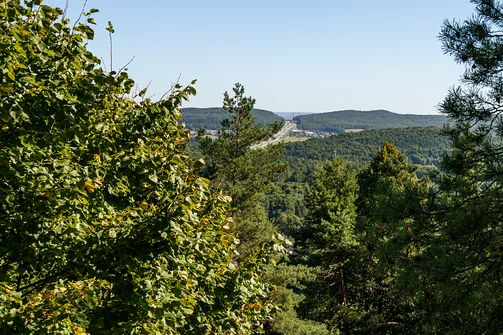 Zelejowa - najwyższy szczyt Pasma Zelejowskiego w Górach Świętokrzyskich