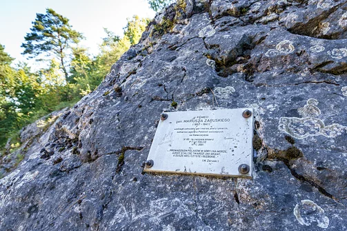 Zelejowa - najwyższy szczyt Pasma Zelejowskiego w Górach Świętokrzyskich