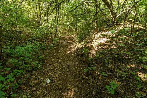 Zelejowa - najwyższy szczyt Pasma Zelejowskiego w Górach Świętokrzyskich