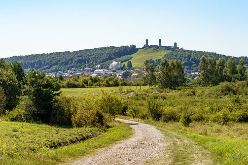 Zelejowa - najwyższy szczyt Pasma Zelejowskiego w Górach Świętokrzyskich