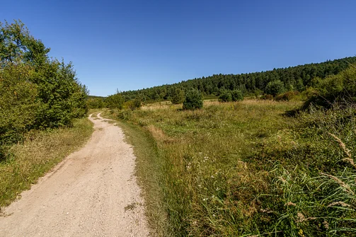 Zelejowa - najwyższy szczyt Pasma Zelejowskiego w Górach Świętokrzyskich