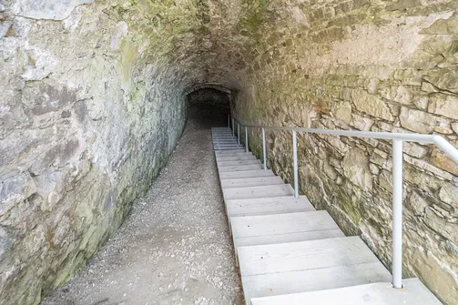 Zamek Krzyżtopór w Ujeździe