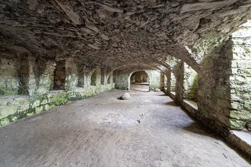 Zamek Krzyżtopór w Ujeździe