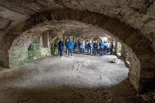 Zamek Krzyżtopór w Ujeździe
