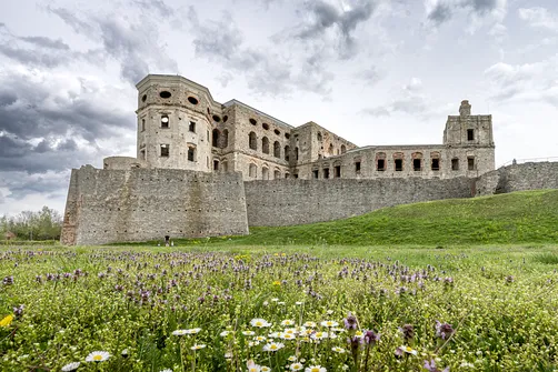 Zamek Krzyżtopór w Ujeździe