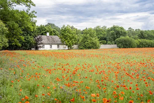 Pałac w Nieborowie - barokowa rezydencja z malowniczym ogrodem