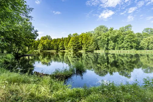 Ogród romantyczny w Arkadii