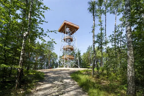 Krzemycza Góra - wzniesienie w Bożej Woli z wieżą widokową