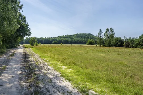 Krzemycza Góra. Góra Krzemycza - widok na wzniesienie od strony północnej