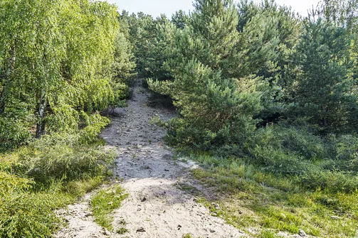 Krzemycza Góra. Góra Krzemycza - poczatek podejścia na szczyt od strony zachodniej