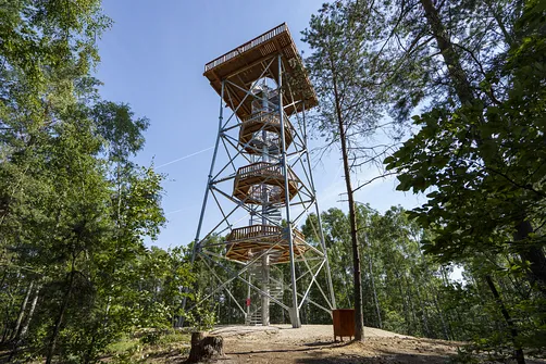 Krzemycza Góra. Wieża widokowa na Górze Krzemyczej