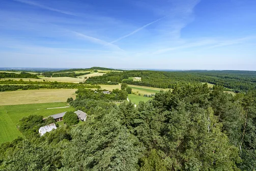 Krzemycza Góra. Góra Krzemycza - w oddali Bukowa Góra w Paśmie Przedborsko-Małogoskim