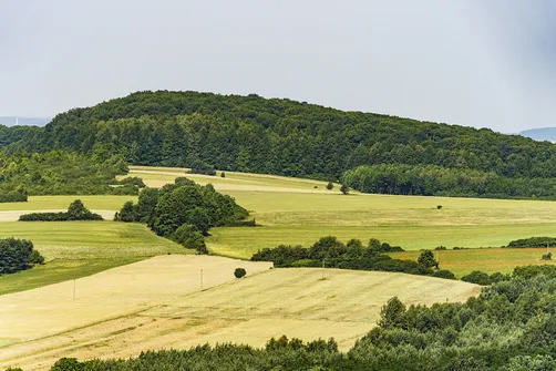 Krzemycza Góra. Góra Krzemycza - widok na Bukową Górę (2,3 km)