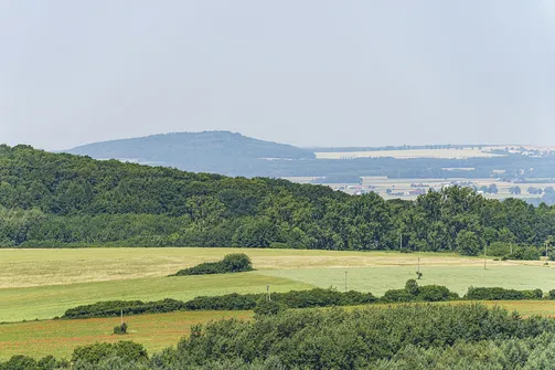 Krzemycza Góra. Góra Krzemycza - widok na Górę Chełmo (15,5 km)