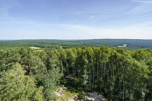 Krzemycza Góra. Góra Krzemycza - widok w kierunku północnym