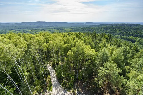 Krzemycza Góra. Fajna Ryba i Kozłowa Góra widziana z wieży widokowej na Górze Krzemyczej
